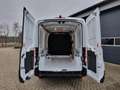 Ford Transit L3H2 2.0 TDCi 130PS Trend 3,5t 3-Sitzer AHK Klima Weiß - thumbnail 10