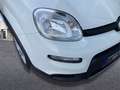 Fiat Panda 1.0 Gse City Live Hybrid Blanco - thumbnail 22