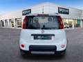 Fiat Panda 1.0 Gse City Live Hybrid Blanco - thumbnail 5