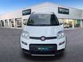 Fiat Panda 1.0 Gse City Live Hybrid Blanco - thumbnail 2