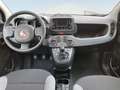 Fiat Panda 1.0 Gse City Live Hybrid Blanco - thumbnail 8