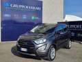 Ford EcoSport 1.0 EcoBoost 125 CV Start&Stop Titanium Grigio - thumbnail 2