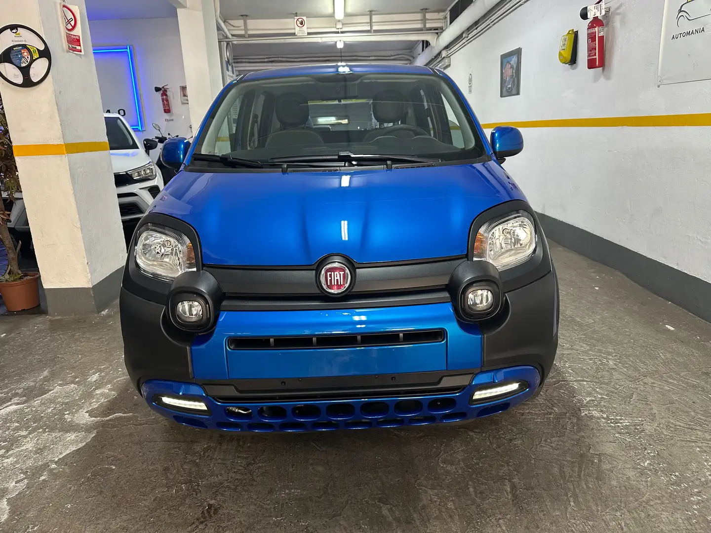 Fiat Panda 1.0 firefly hybrid City Cross s&s 70cv KM0 Blu/Azzurro - 2