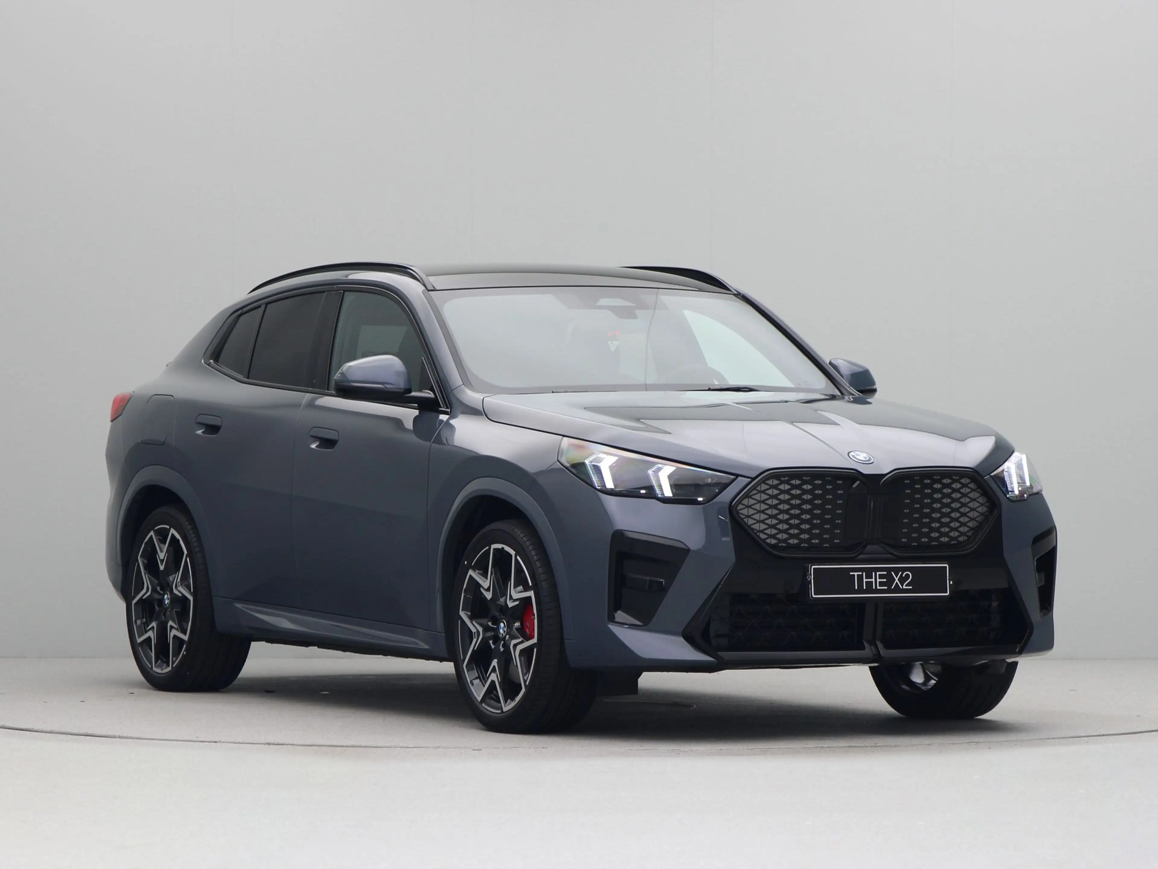 BMW iX2 eDrive20 67 kWh — photo 6