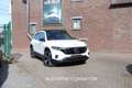 Mercedes-Benz EQB 350 EQB 66.5 kWh 350 4-Matic 7pl Blanc - thumbnail 1