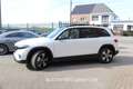 Mercedes-Benz EQB 350 EQB 66.5 kWh 350 4-Matic 7pl Blanc - thumbnail 6