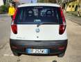 Fiat Punto 1.2 BENZ AUTOCARRO Weiß - thumbnail 6
