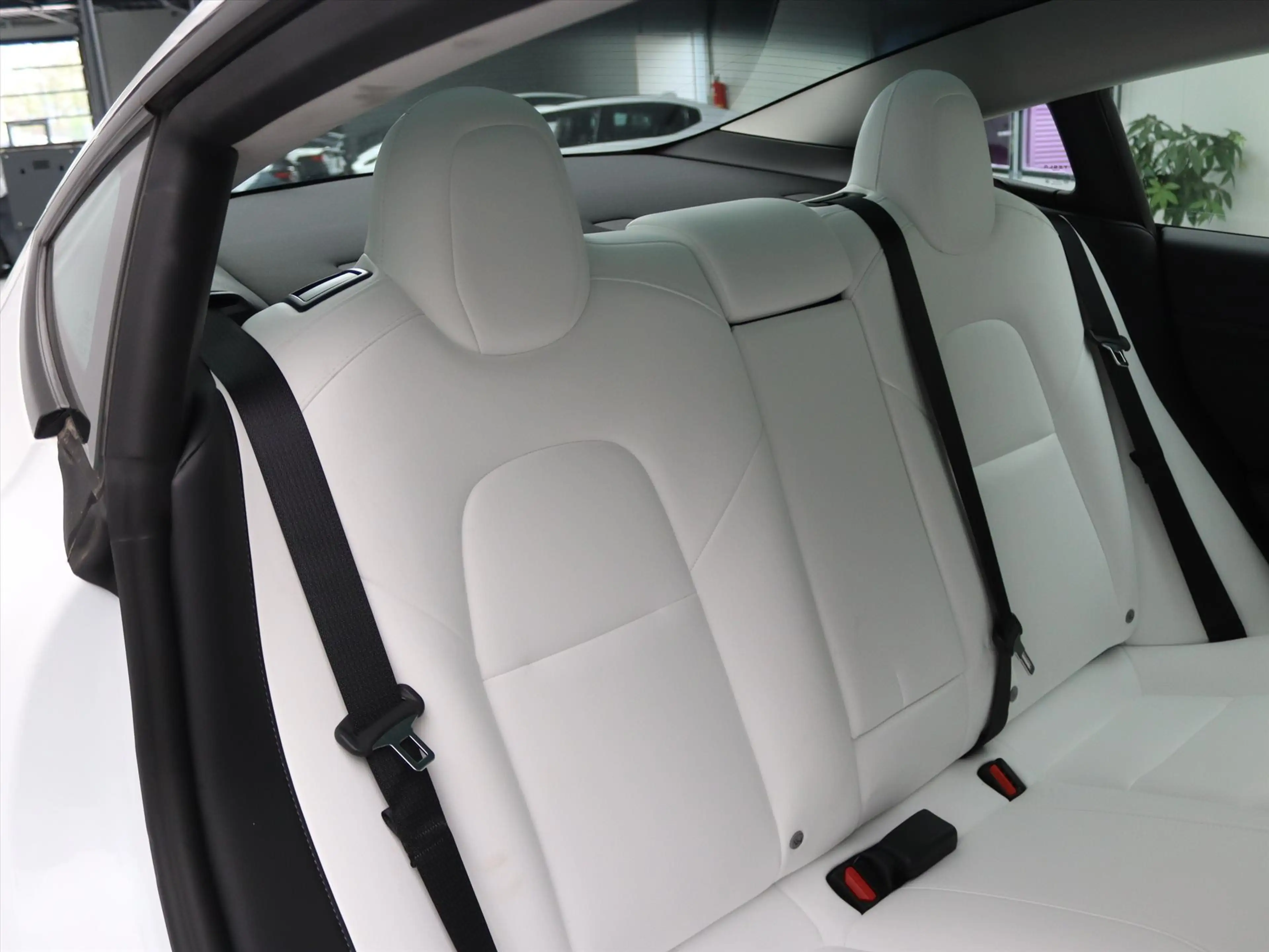 Tesla Model 3 Standard RWD Plus 96.3% SoH UPGRADE [ WIT LEDER+AM — photo 14