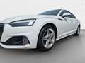 Audi A5 40 TDI qu Advanced S tro*Matrix*Nav Blanc - thumbnail 12
