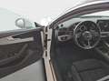 Audi A5 40 TDI qu Advanced S tro*Matrix*Nav Blanc - thumbnail 13