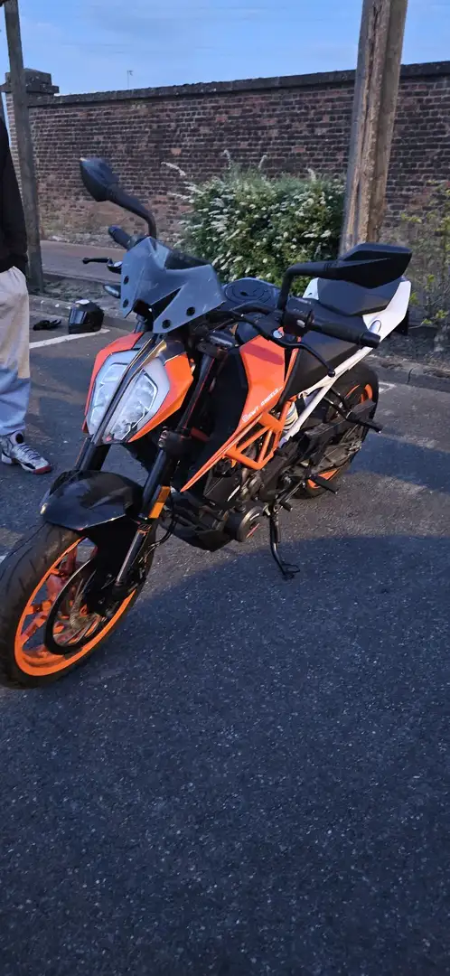 KTM 390 Duke Alb - 2