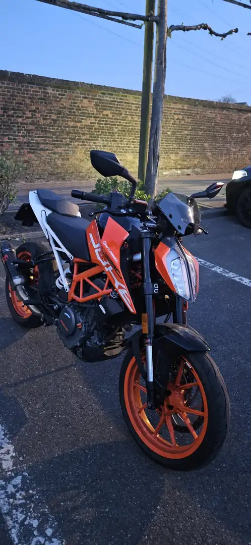KTM 390 Duke Alb - 1