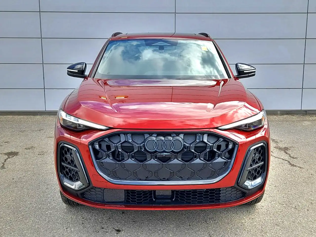 Audi Q5 fotografie Audi Q5