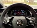 Skoda Octavia Combi RS iV DSG / Navi / AHK / HUD / DCC Blanco - thumbnail 25