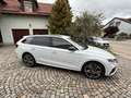 Skoda Octavia Combi RS iV DSG / Navi / AHK / HUD / DCC Blanco - thumbnail 3