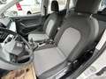 SEAT Ibiza 1,0 Reference Weiß - thumbnail 20