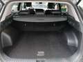 Kia Sportage SPORTAGE 1.6T 48V 2WD DCT SPIRIT DRIVE Schwarz - thumbnail 12