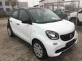 smart forFour Basis 52 kW Noir - thumbnail 3