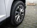 Skoda Karoq 1.0 TSI Clever PDC LED Kessy SHZ GRA Weiß - thumbnail 5