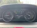 Lancia Ypsilon 1.0 FireFly 5 porte S&S Hybrid Gold Plus Nero - thumbnail 10