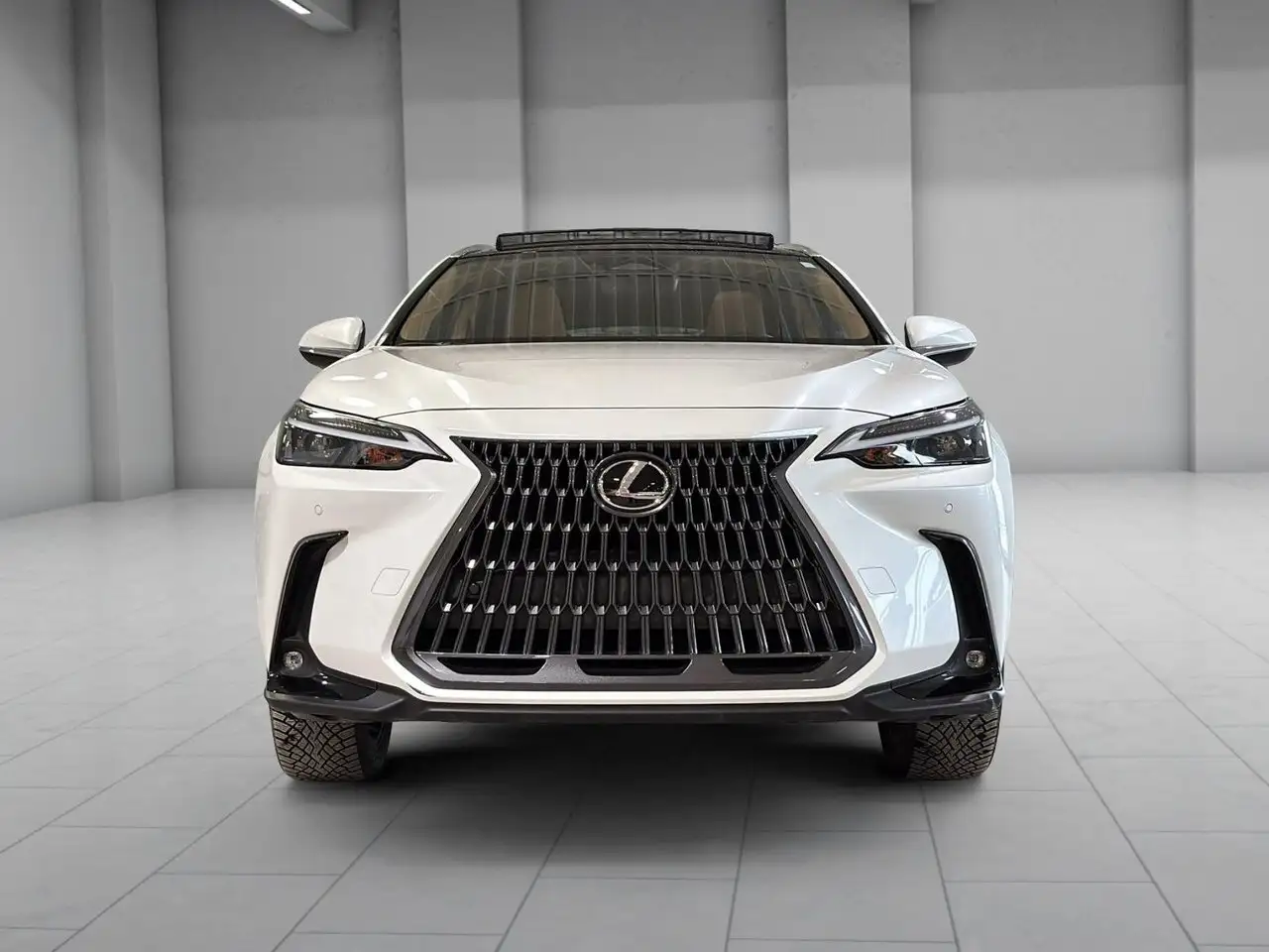 Lexus NX fotografie Lexus NX
