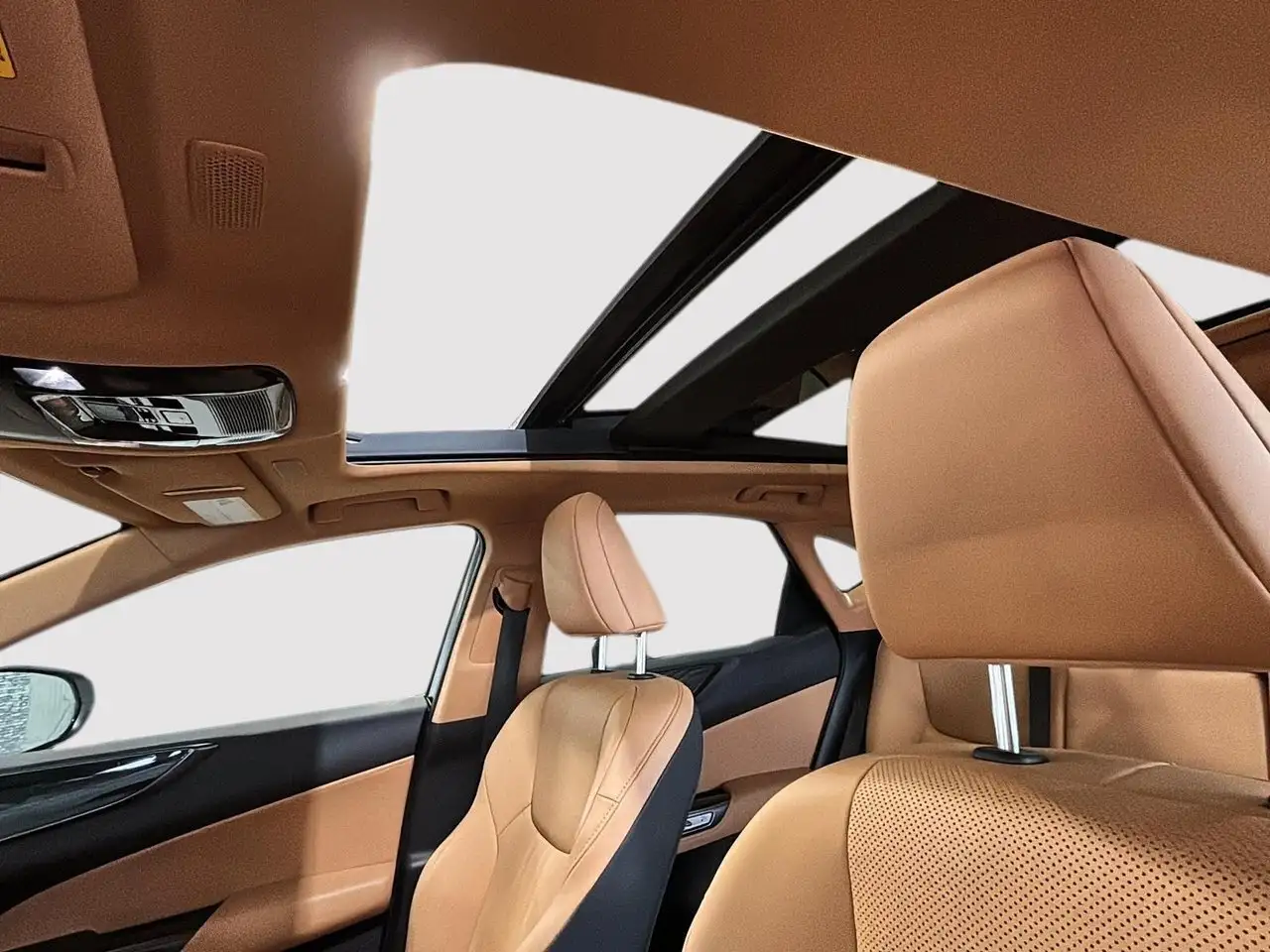 Lexus NX fotografie Lexus NX