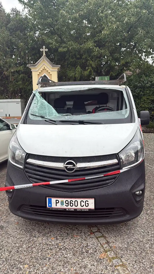 Opel Vivaro Life Edition L1H1 2,5 DTI 2,9t - 1