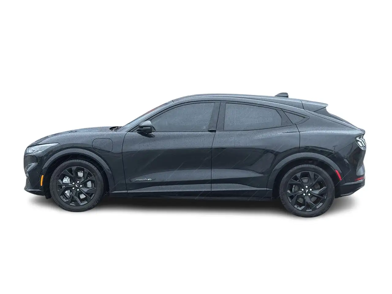 Ford Mustang снимка Ford Mustang