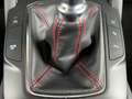 Ford Kuga ST-Line X LED+AHK+Glasdach+Kamera+SHZ Gris - thumbnail 14