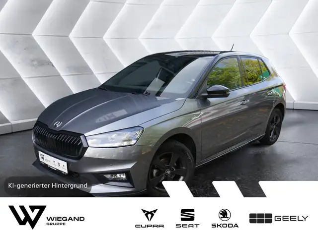 Skoda Fabia 1.0 TSI Monte Carlo PDC SHZ KAMERA LED