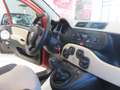 Fiat Panda Panda III 1.2 Easy 69cv E6 Naranja - thumbnail 11