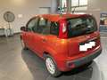 Fiat Panda Panda III 2012 1.2 Easy 69cv E6 Orange - thumbnail 4