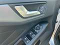 Ford Focus Traveller 1,5 EcoBlue Trend Grau - thumbnail 23