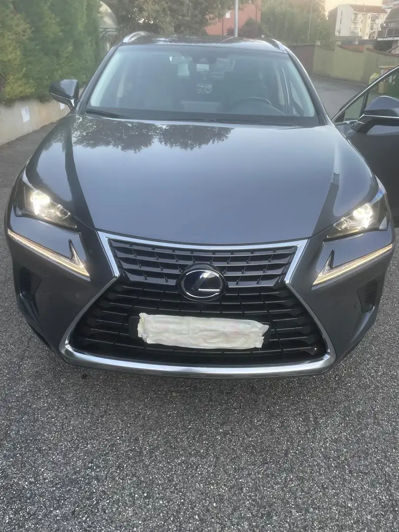Lexus NX 300 NX 300h 2.5 Executive 4wd cvt Grigio - 2