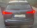 Lexus NX 300 NX 300h 2.5 Executive 4wd cvt Grigio - thumbnail 6
