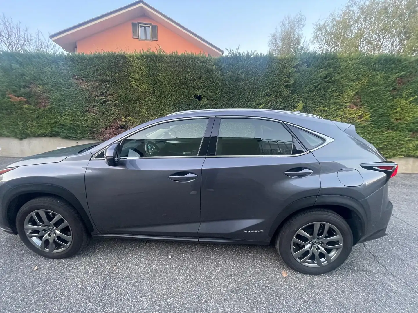 Lexus NX 300 NX 300h 2.5 Executive 4wd cvt Grigio - 1