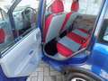Fiat Panda Panda 1.2 Climbing 4x4 Blu/Azzurro - thumbnail 11