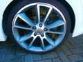Opel Astra OPC Race Camp Wit - thumbnail 11