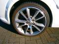 Opel Astra OPC Race Camp Wit - thumbnail 12