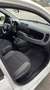 Fiat Panda 1.2 benzina young neopatentati - thumbnail 13