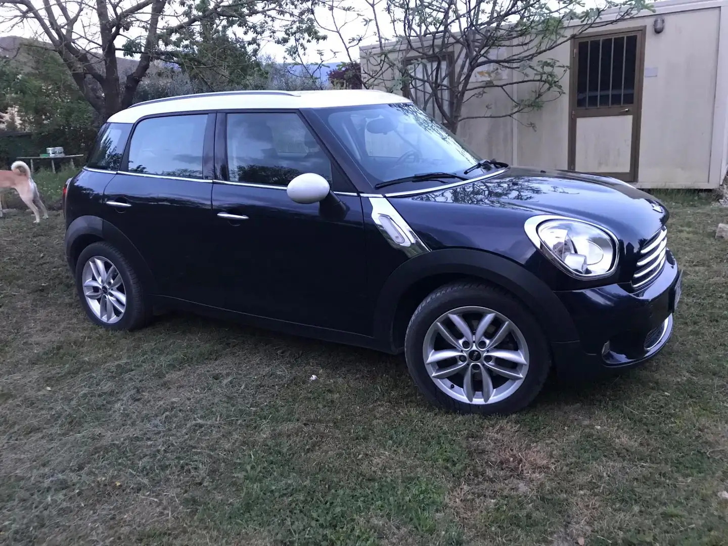 MINI Cooper D Countryman Mini Countryman R60 2.0 auto Blue - 1