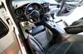 Mercedes-Benz GLC 200 4Matic Mild Hybrid Coupé Business - PELLE/19" Bianco - thumbnail 13