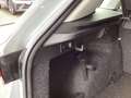 Skoda Kamiq 1.0 TSI DSG Style/LED/Kamera/ACC/Navi/AHK Silber - thumbnail 14