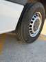 Mercedes-Benz Sprinter Sprinter Ch.DCb. 319BlueTec Medio Blanco - thumbnail 6