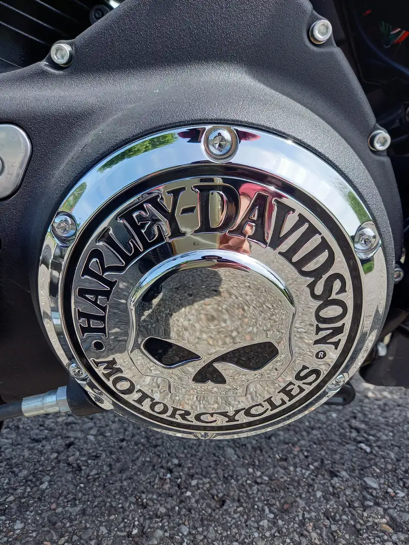 Harley-Davidson Sportster Forty Eight Gänsehaut auf Knopfdruck HD 48 Sportster 1200 Alb - 2