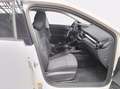 Skoda Fabia 1.0 mpi evo ambition 80cv Bianco - thumbnail 8