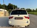 BMW X3 X3 E83 xdrive20d Limited Sport edition Bianco - thumbnail 7