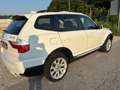 BMW X3 X3 E83 xdrive20d Limited Sport edition Bianco - thumbnail 6