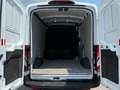 Ford Transit 3.5t L2 170 PS AWD Navi SZH Zahnriemen NEU Weiß - thumbnail 5
