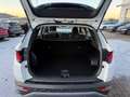 Hyundai TUCSON ix 35 1.6 Trend Hybrid 2WD Weiß - thumbnail 14